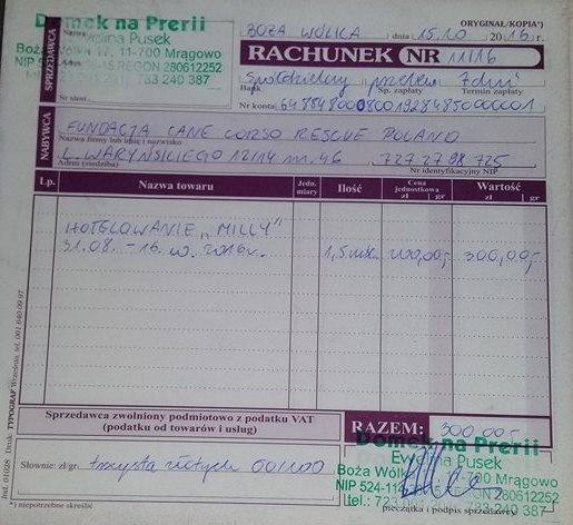 Hotelowanie Morgany, Milli, Dadi i Dżona 